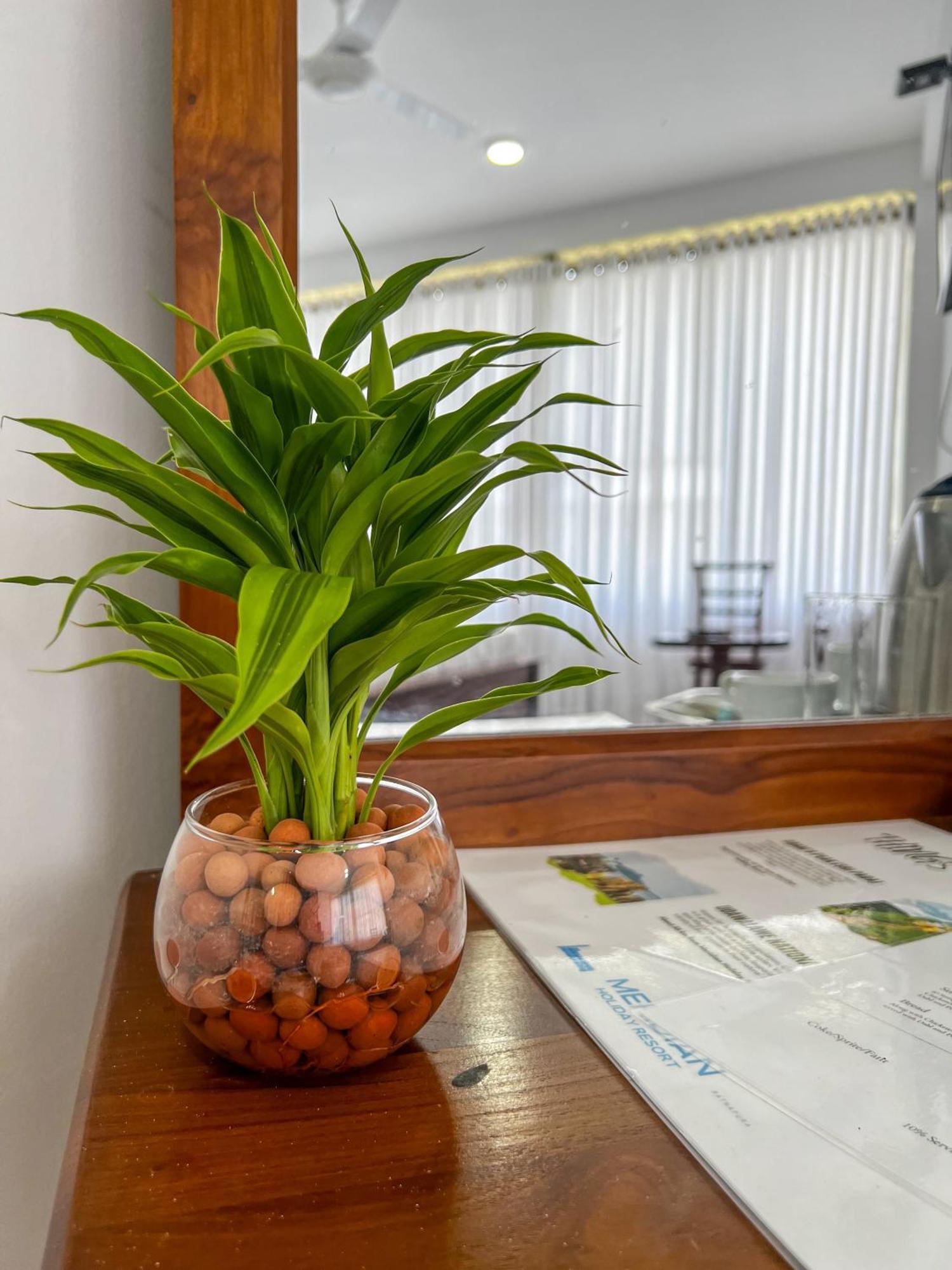 Meridian Holiday Resort Ratnapura Eksteriør billede