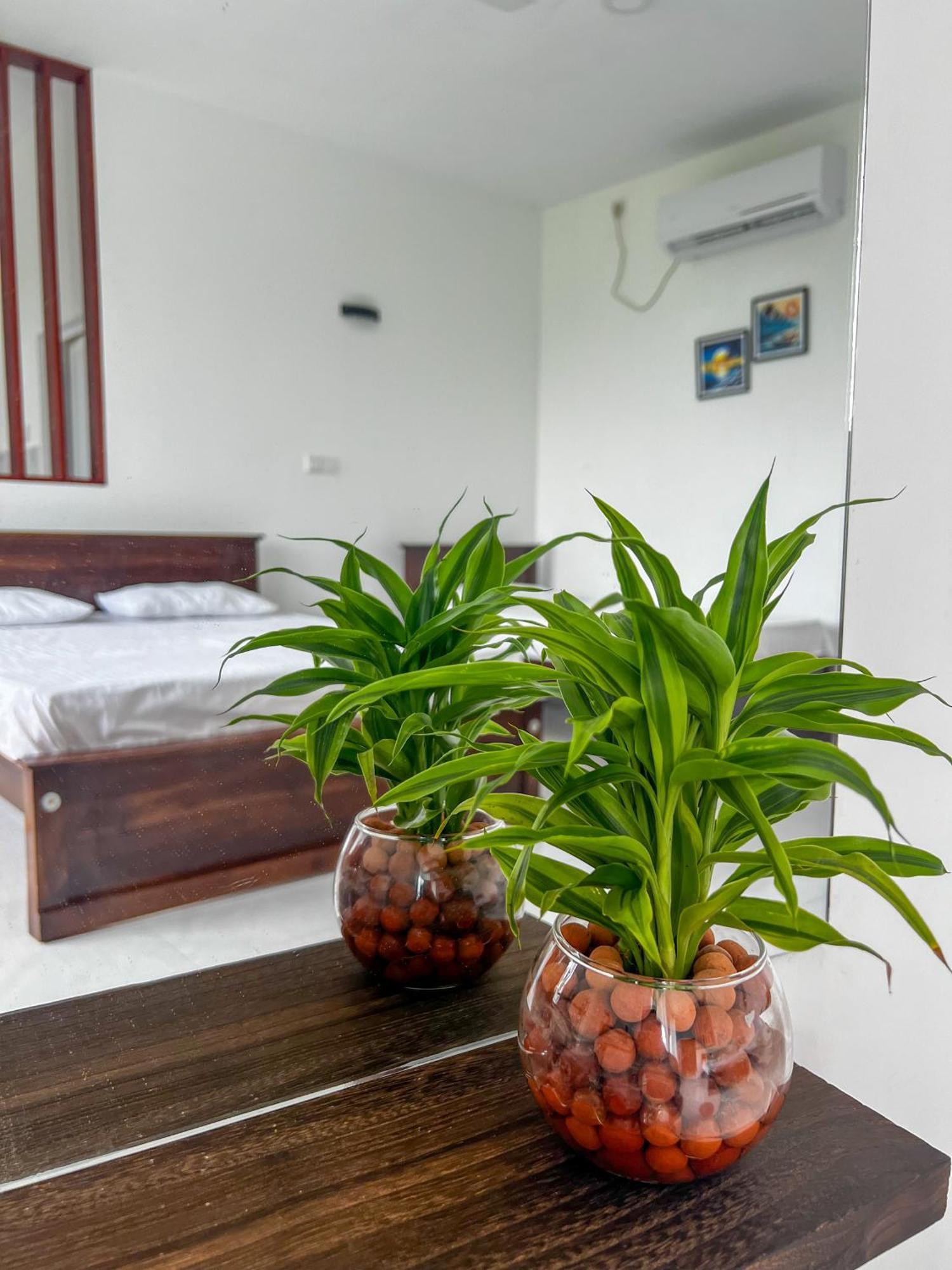 Meridian Holiday Resort Ratnapura Eksteriør billede
